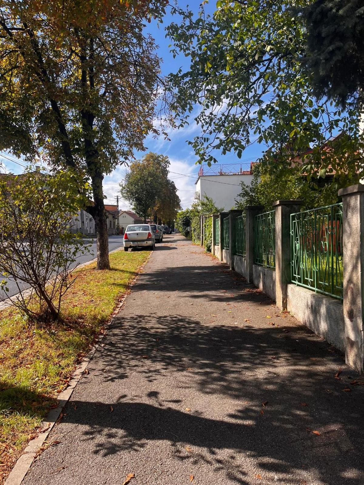 Mimosa Studio Cluj-Napoca Exterior foto